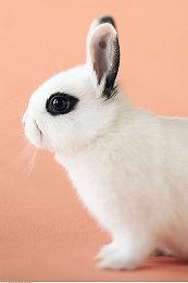 《控制》销量突破450万套 玩家人数破1900万